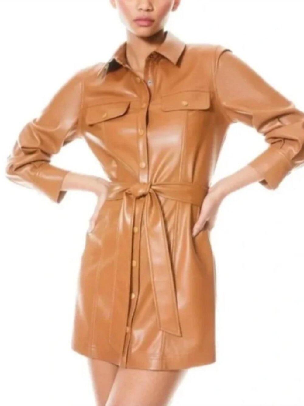 Alice + Olivia Miranda Vegan Leather Tie Waist Dress Size 2 NWT